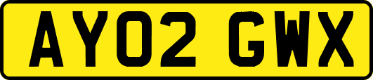 AY02GWX