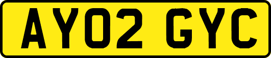 AY02GYC