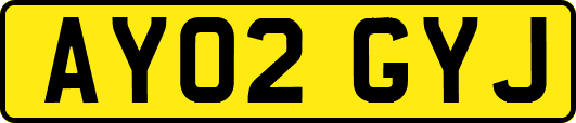 AY02GYJ