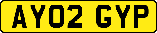 AY02GYP