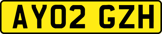 AY02GZH