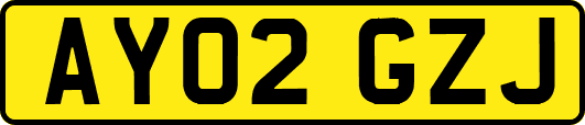 AY02GZJ