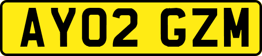 AY02GZM
