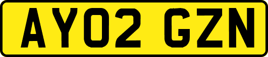 AY02GZN