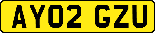 AY02GZU