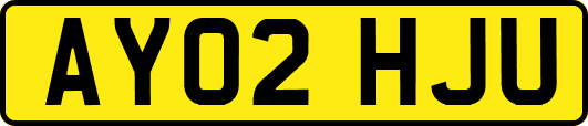 AY02HJU