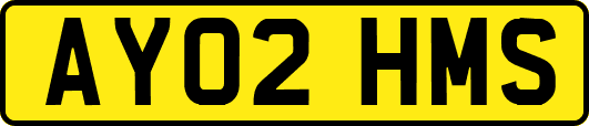 AY02HMS