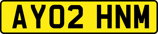 AY02HNM