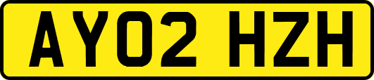 AY02HZH