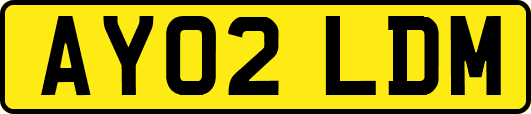 AY02LDM