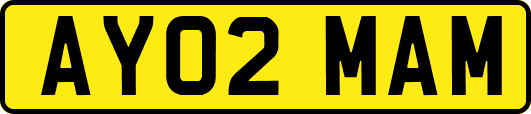AY02MAM