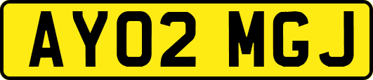 AY02MGJ