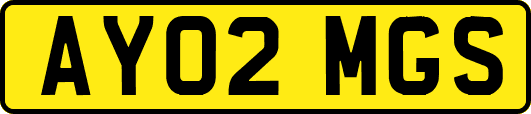 AY02MGS