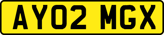 AY02MGX