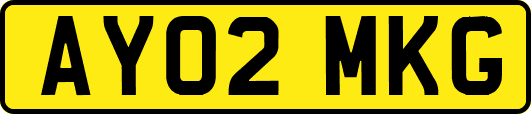 AY02MKG