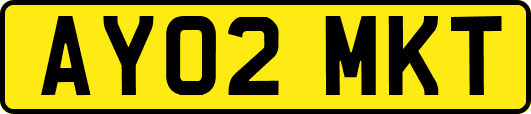 AY02MKT