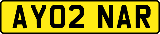 AY02NAR