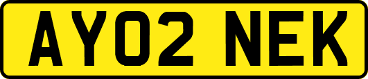 AY02NEK
