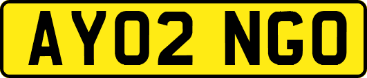 AY02NGO