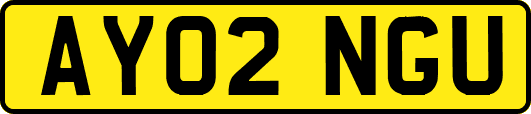 AY02NGU