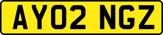 AY02NGZ
