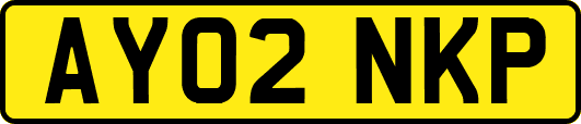 AY02NKP
