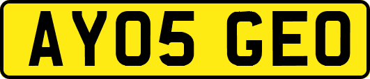AY05GEO