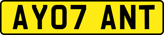 AY07ANT