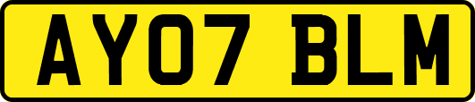 AY07BLM