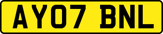 AY07BNL