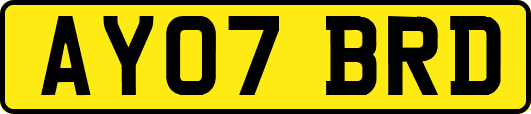 AY07BRD