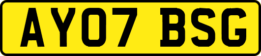 AY07BSG