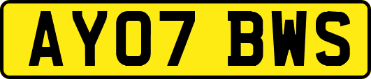 AY07BWS