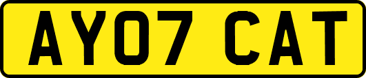 AY07CAT