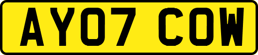 AY07COW