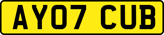 AY07CUB