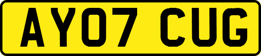 AY07CUG