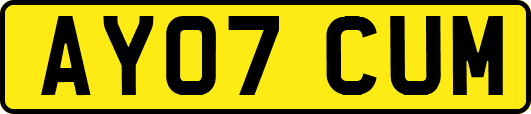 AY07CUM