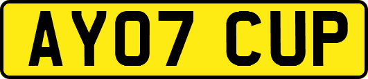 AY07CUP
