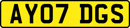 AY07DGS