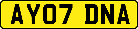 AY07DNA