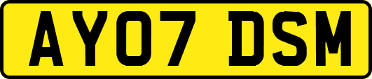AY07DSM