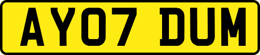 AY07DUM