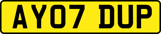 AY07DUP
