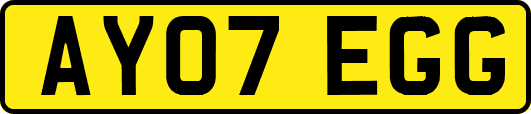 AY07EGG