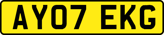 AY07EKG