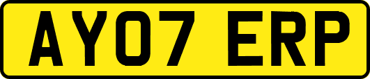 AY07ERP