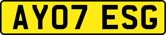 AY07ESG