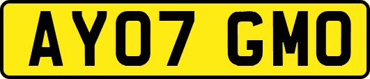 AY07GMO
