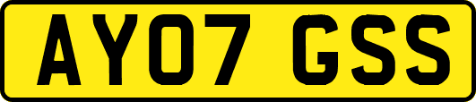 AY07GSS